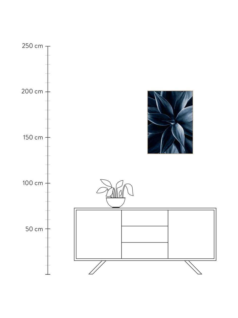 Oprawiony druk cyfrowy Dark Plant I, Czarny, niebieski, S 50 x W 70 cm