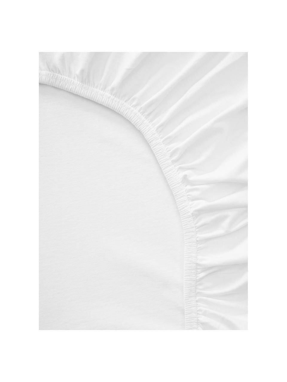 Elastická plachta na  kontinentálnu posteľ Lara, 95 % bavlna, 5 % elastan
Hustota vlákna 160 TC, kvalita štandard
Posteľná bielizeň z bavlny je príjemná na dotyk, dobre absorbuje vlhkosť a je vhodná pre alergikov, Biela, Š 200 x D 200 cm, V 35 cm