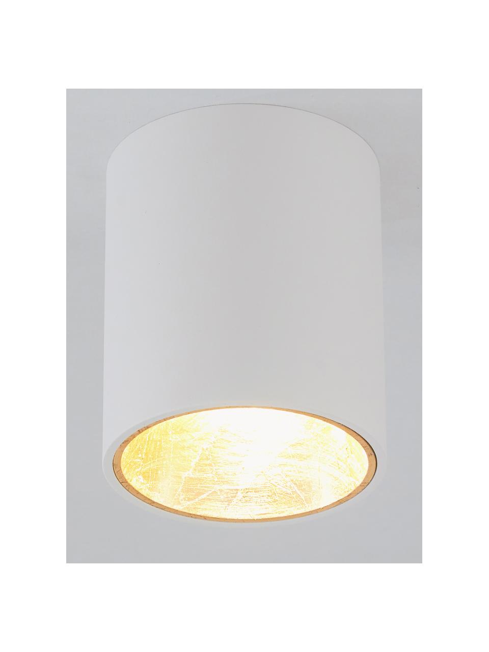 Spot plafond LED Marty, Blanc, doré, Ø 10 x haut. 12 cm