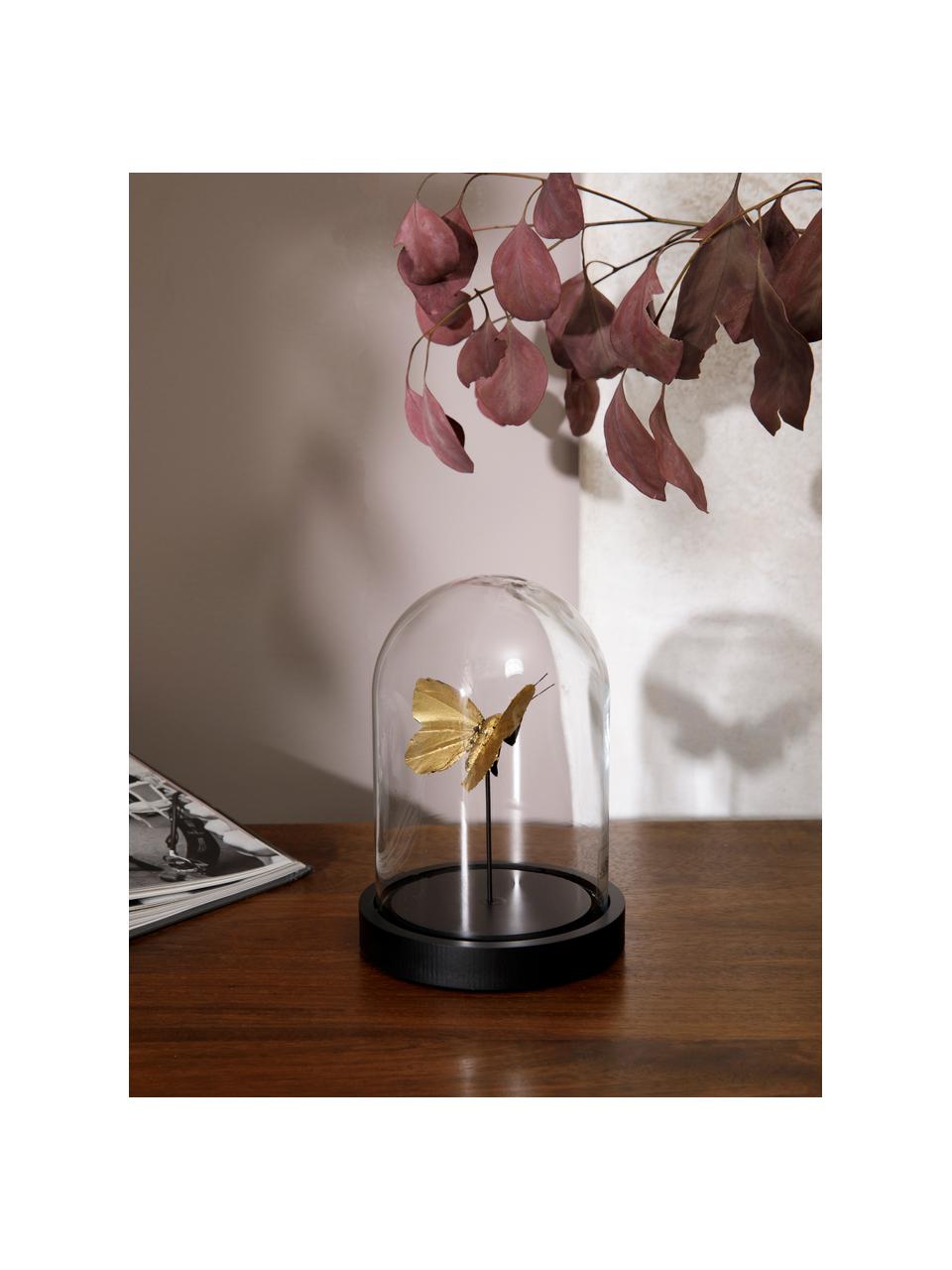 Decoratief object Butterfly, Object: kunststof, Stolp: glas, Goudkleurig transparant, zwart, Ø 12 x H 17 cm