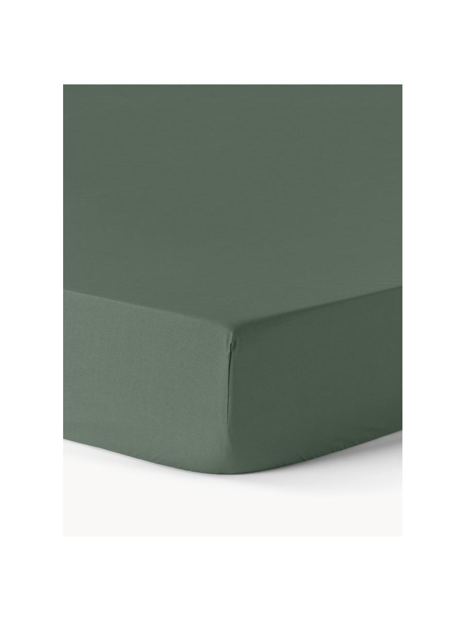 Lenzuolo con angoli topper in cotone percalle Elsie, Verde scuro, Larg. 90 x Lung. 200 cm, Alt. 15 cm