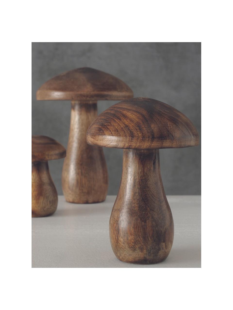 Set 3 oggetti decorativi Terjol, Legno, Marrone, Set in varie misure