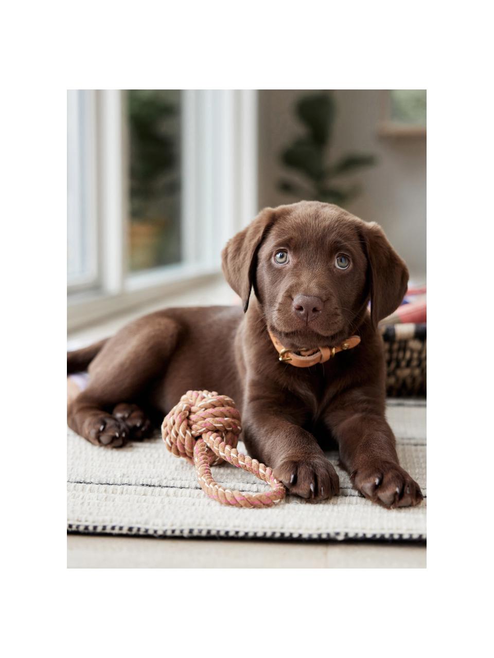 Zabawka dla psa Otto, 100% bawełna, Jasny brązowy, Ø 7 x D 22 cm