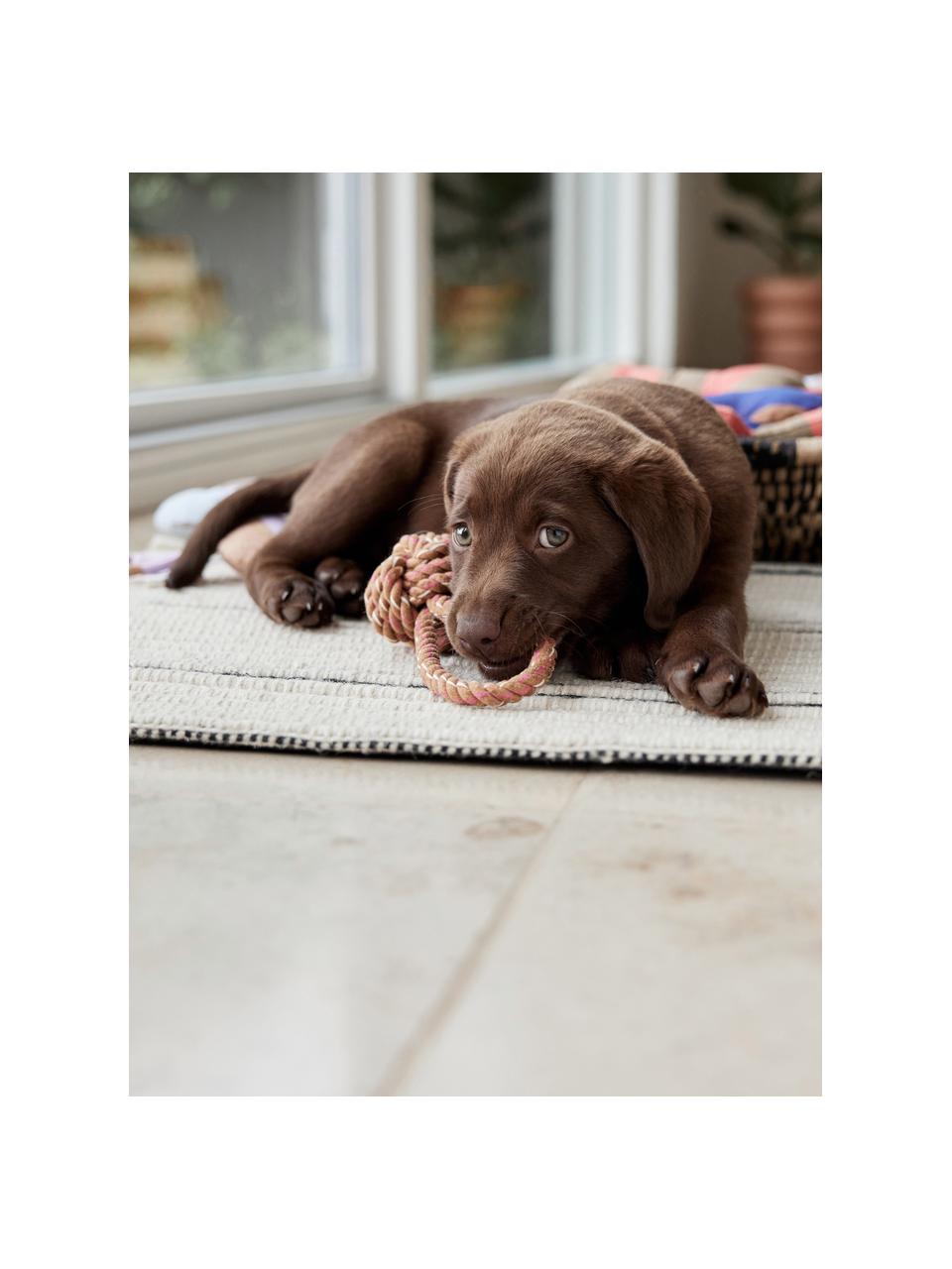 Zabawka dla psa Otto, 100% bawełna, Jasny brązowy, Ø 7 x D 22 cm
