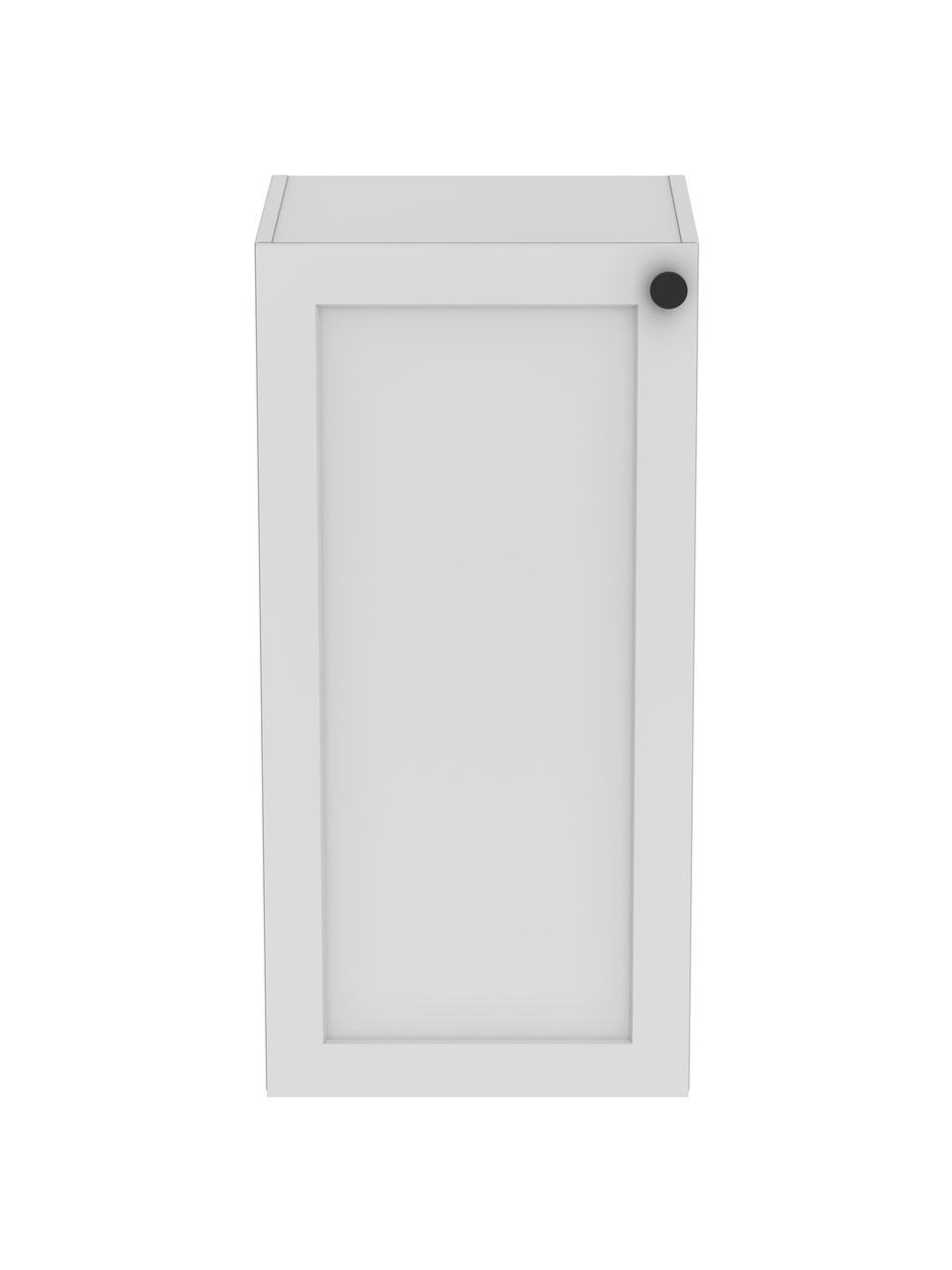 Nástěnná koupelnová skříňka Rafaella, Š 40 cm, Světle šedá, Š 40 cm, V 85 cm