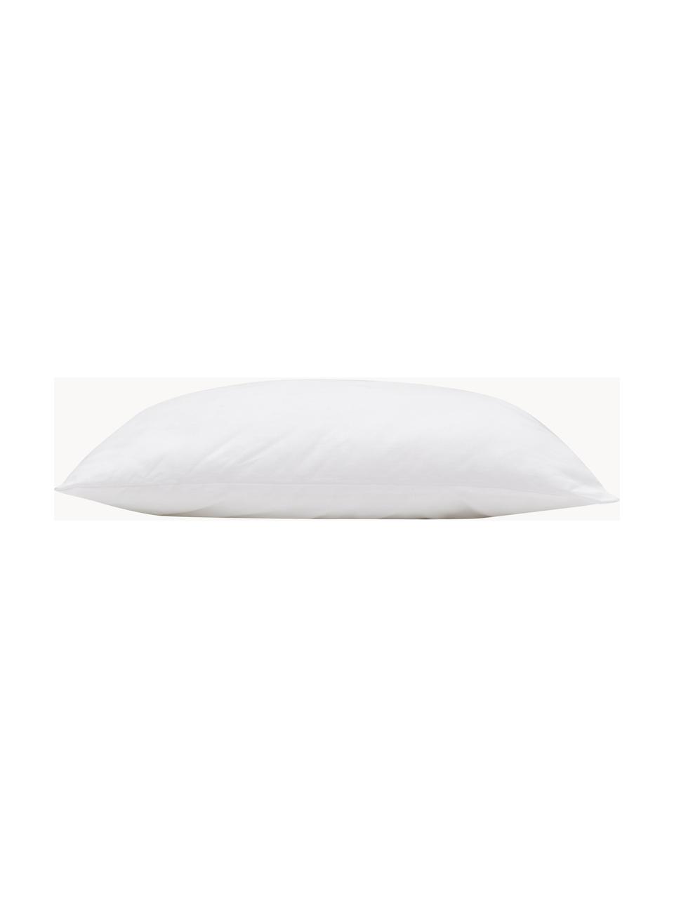 Garnissage de coussin 50x50 en microfibre Sia, Blanc, larg. 50 x long. 50 cm