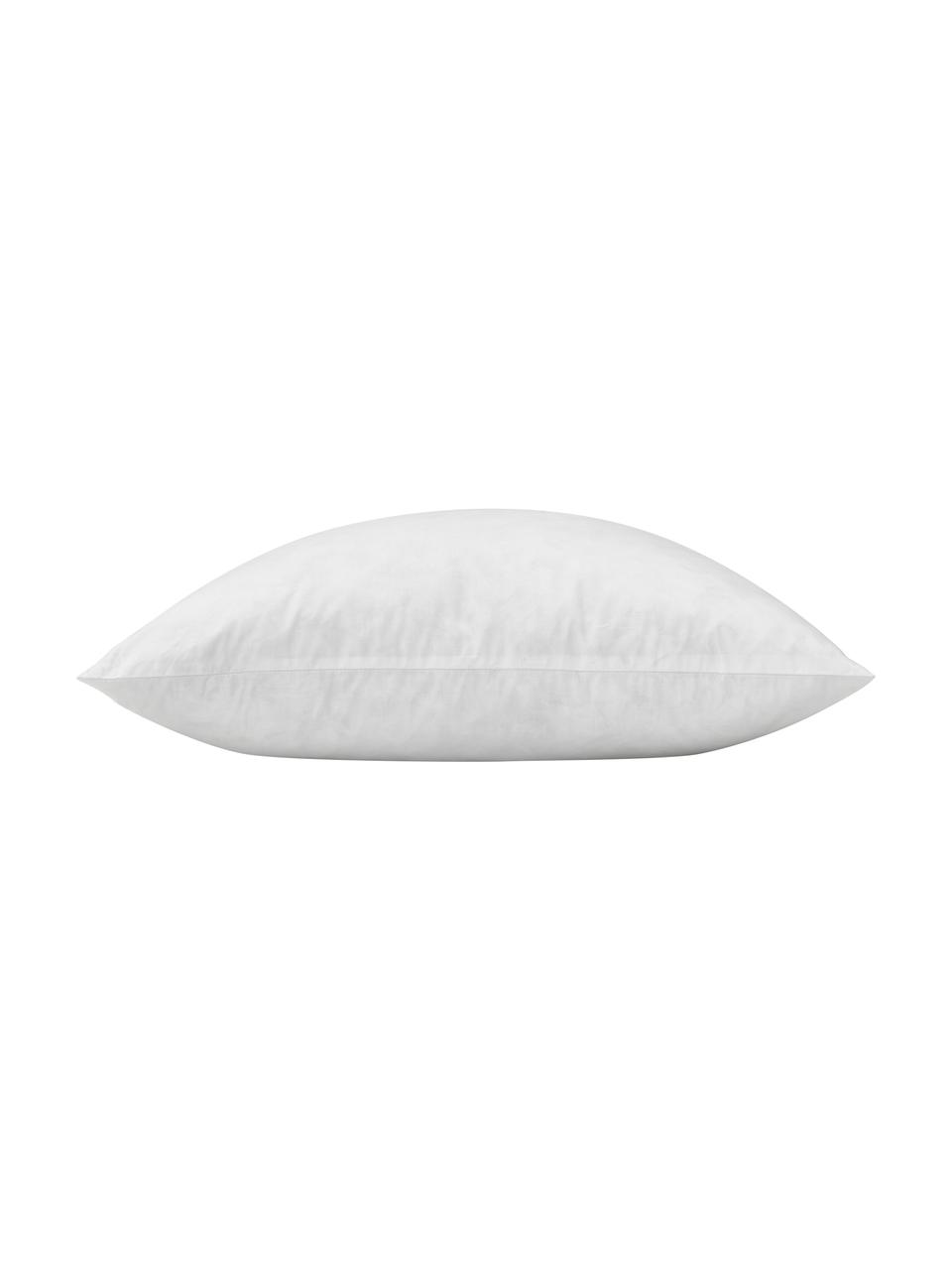 Wkład do poduszki dekoracyjnej Comfort, Tapicerka: 80% bawełna, 20% bawełna , Biały, S 50 x D 50 cm