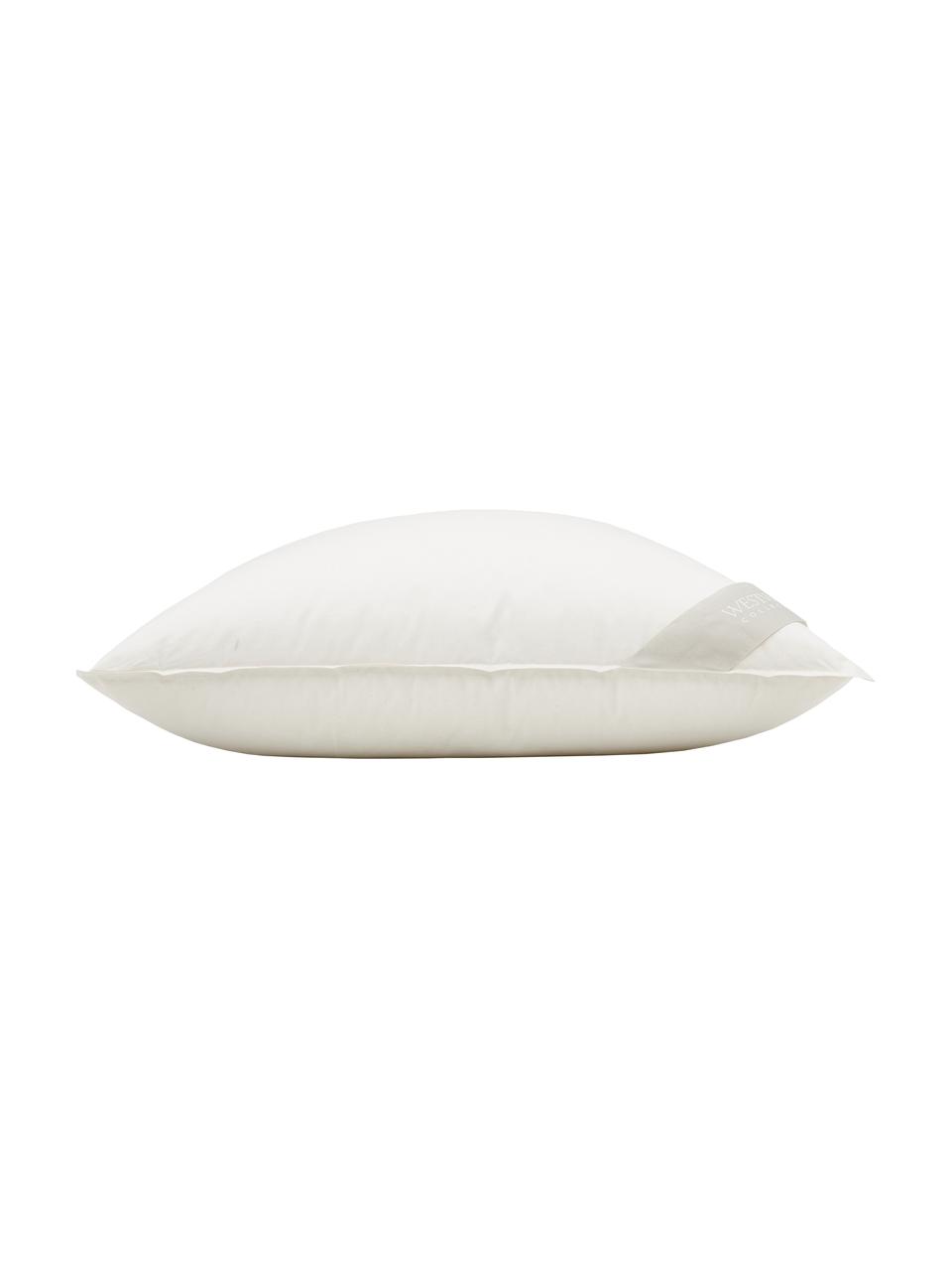 Poduszka z organicznego puchu i bawełny Comfort, miękka, Tapicerka: 100% bawełna organiczna P, Miękka, S 80 x D 80 cm