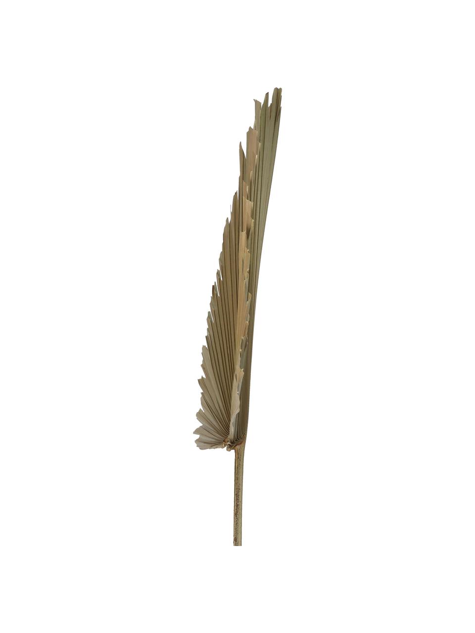 Kunstbloem palmblad in lichtbruin, Polyester, Lichtbruin, B 40 cm x H 85 cm