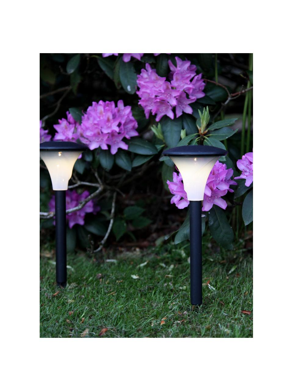 Solar Wegeleuchte Pathlights, 3 Stück, Lampenschirm: Kunststoff, Schwarz, Weiß, Ø 11 x H 26 cm