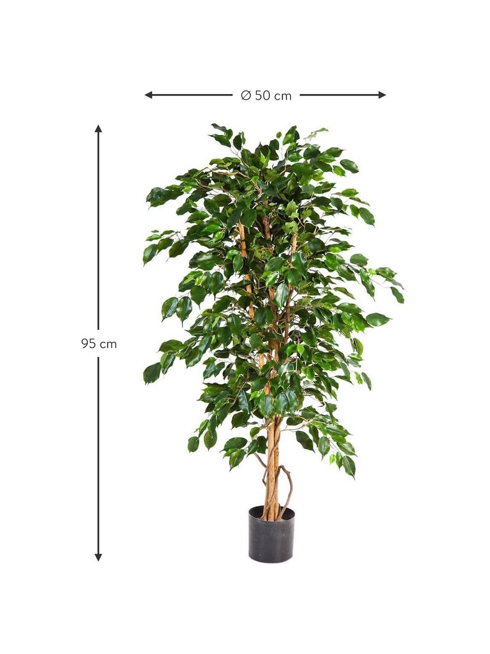 Planta artificial Ficus, Poliéster, troncos de materiales naturales, Verde, marrón, Ø 50 x Al 95 cm