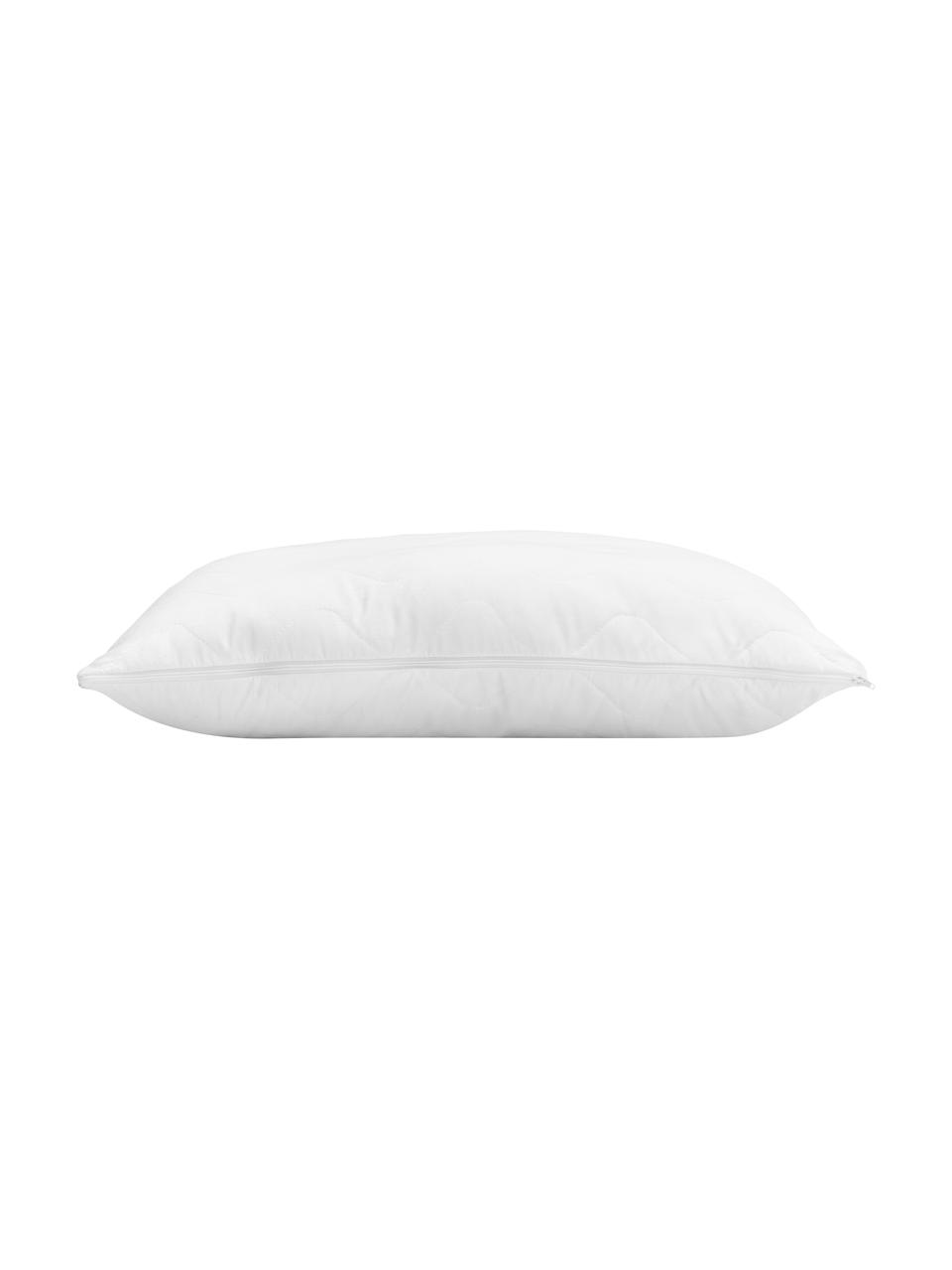 Garnissage de coussin 60x60 en microfibre Premium Sia, Blanc, larg. 60 x long. 60 cm