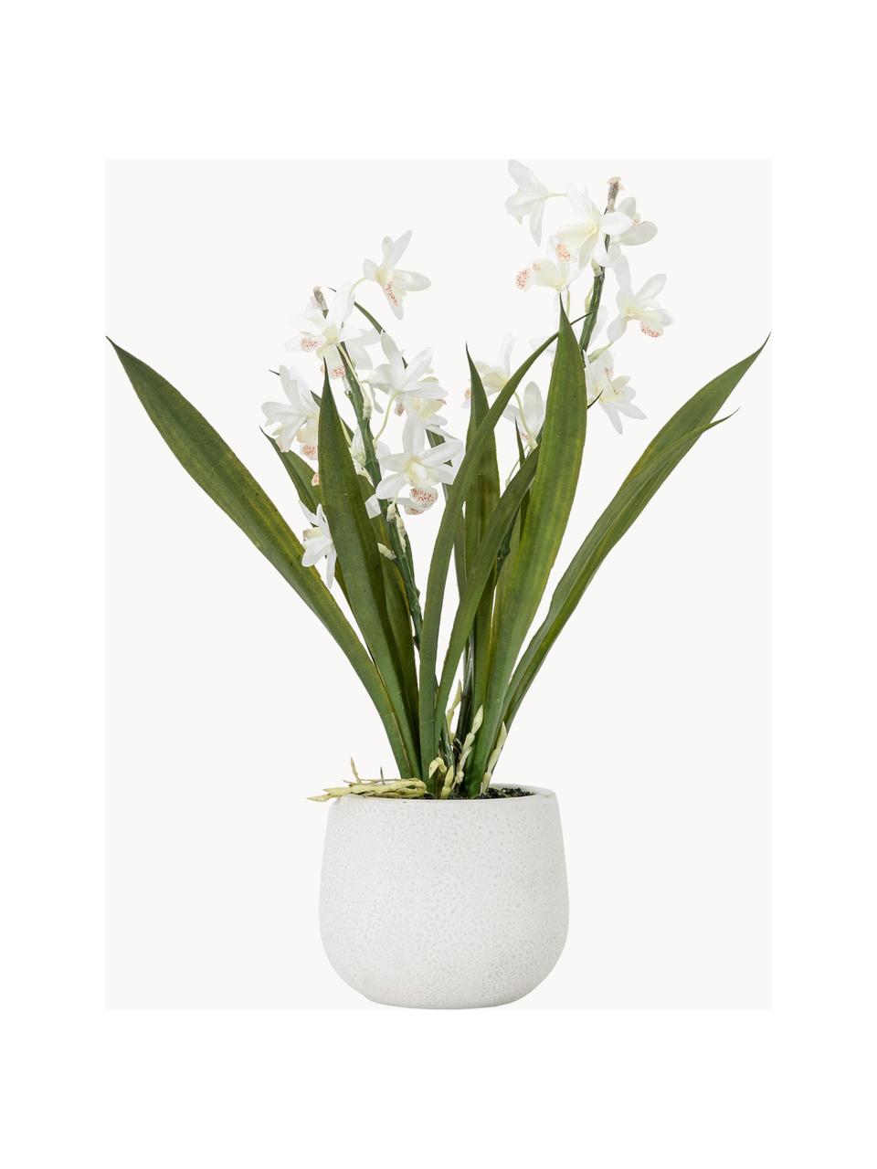 Handgefertigte Kunstblume Orchid mit Übertopf, Übertopf: Keramik, Grün, Weiss, L 41 cm