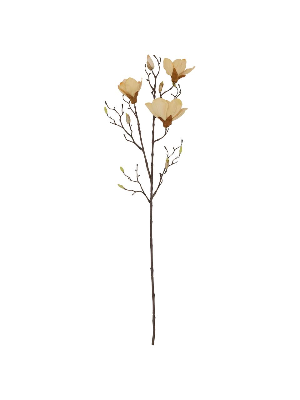 Kunstblume Magnolia, Kunststoff (PVC), Stahldraht, Beige, Braun, L 85 cm