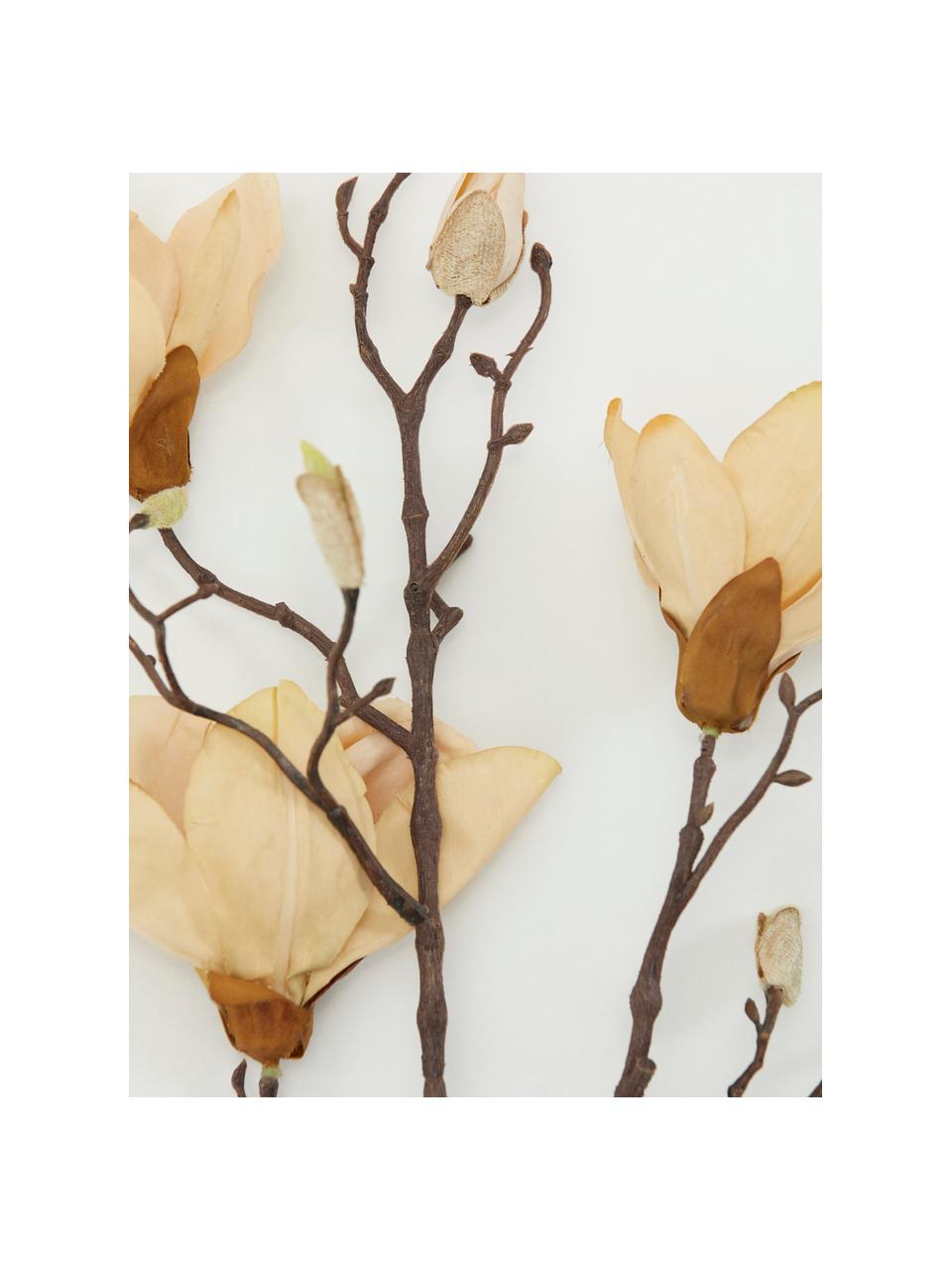 Fleur artificielle Magnolia, Plastique (PVC), fil d'acier, Blanc crème, brun, long. 85 cm