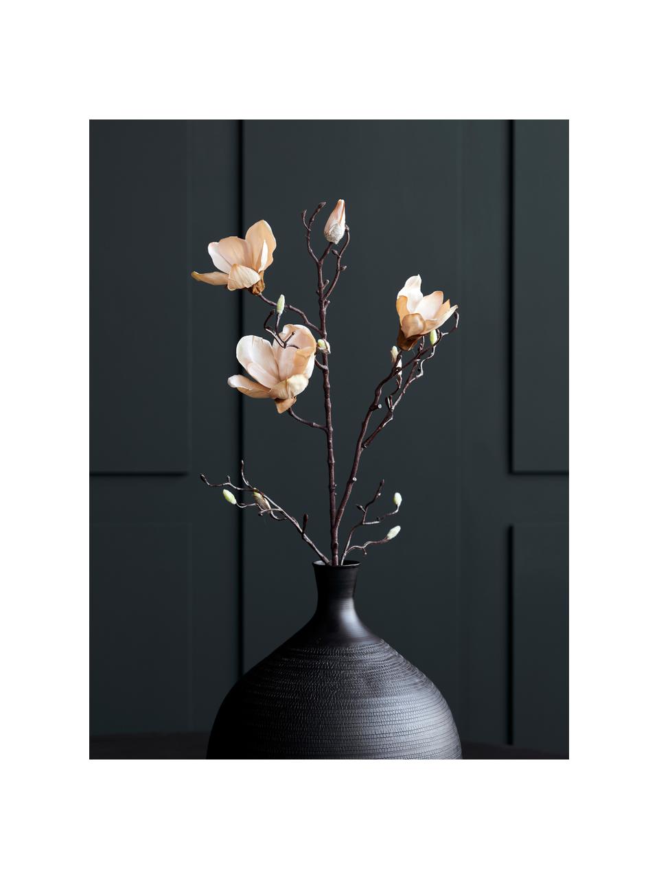 Fleur artificielle Magnolia, Plastique (PVC), fil d'acier, Blanc crème, brun, long. 85 cm