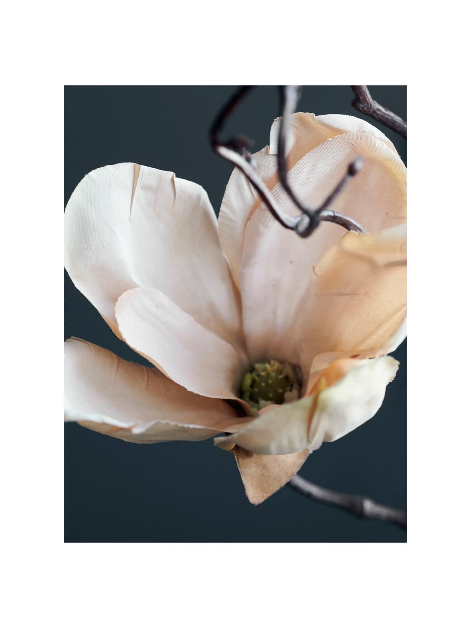 Fleur artificielle Magnolia, Plastique (PVC), fil d'acier, Blanc crème, brun, long. 85 cm