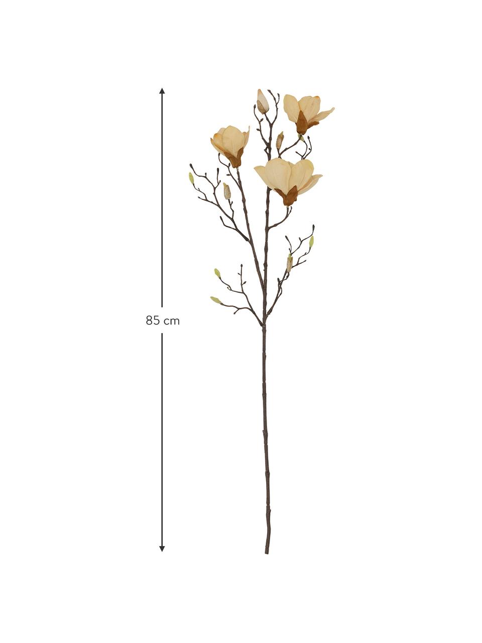 Fiore artificiale Magnolia, Plastica (PVC), filo d'acciaio, Beige, marrone, Lunghezza 85 cm