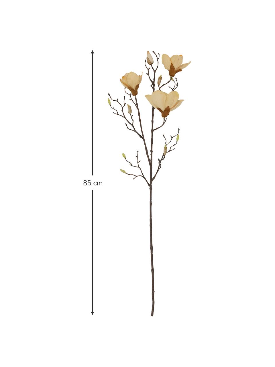 Fleur artificielle Magnolia, Plastique (PVC), fil d'acier, Blanc crème, brun, long. 85 cm