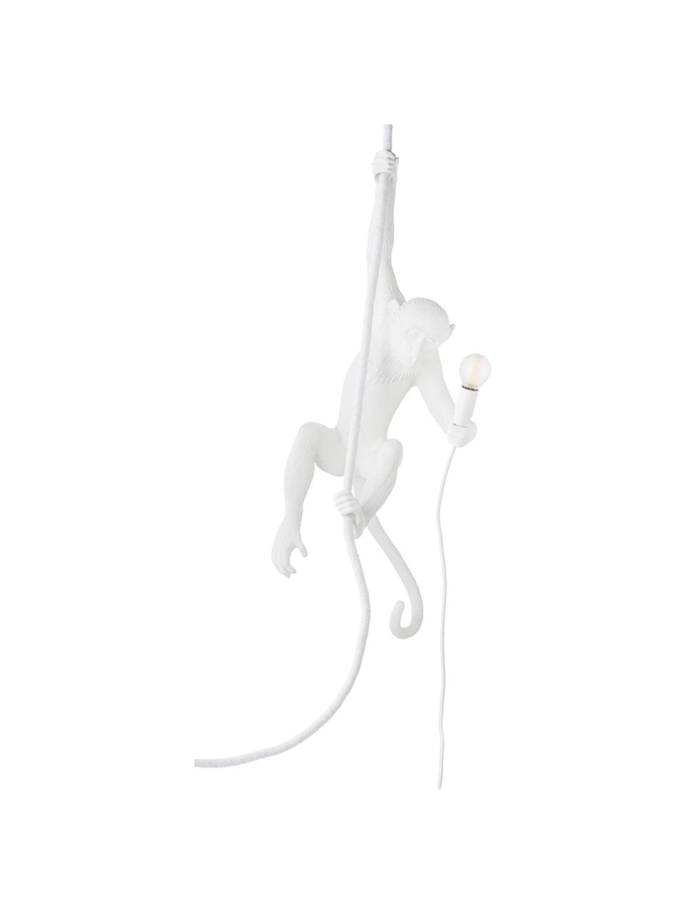 Zewnętrzna lampa dekoracyjna LED z wtyczką Monkey, Żywica syntetyczna, Biały, S 37 x W 77 cm