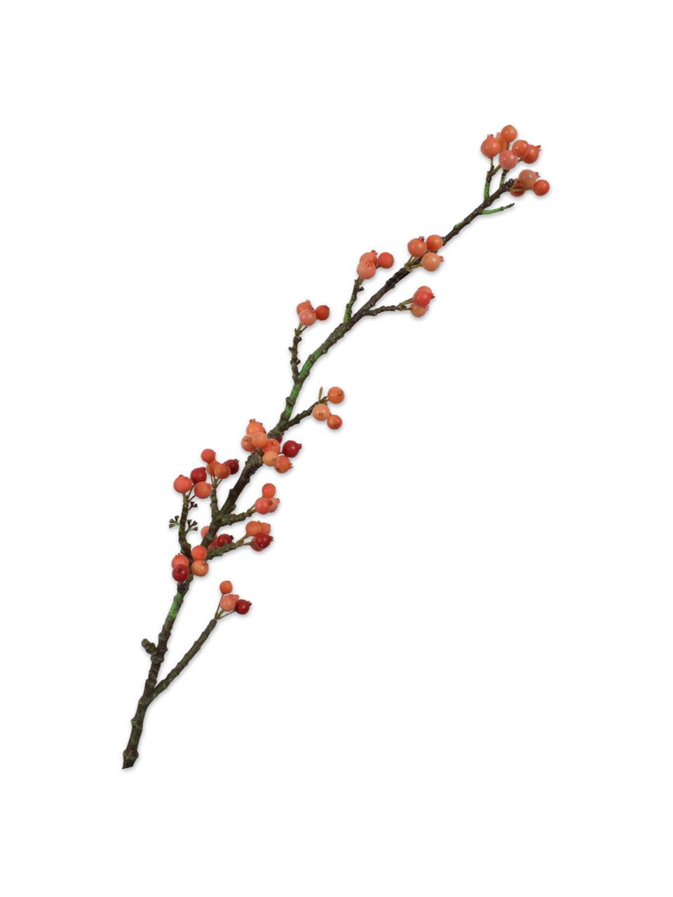 Flores artificiales Beeren, 2 uds., Plástico, alambre de metal, Naranja, marrón, L 81 cm