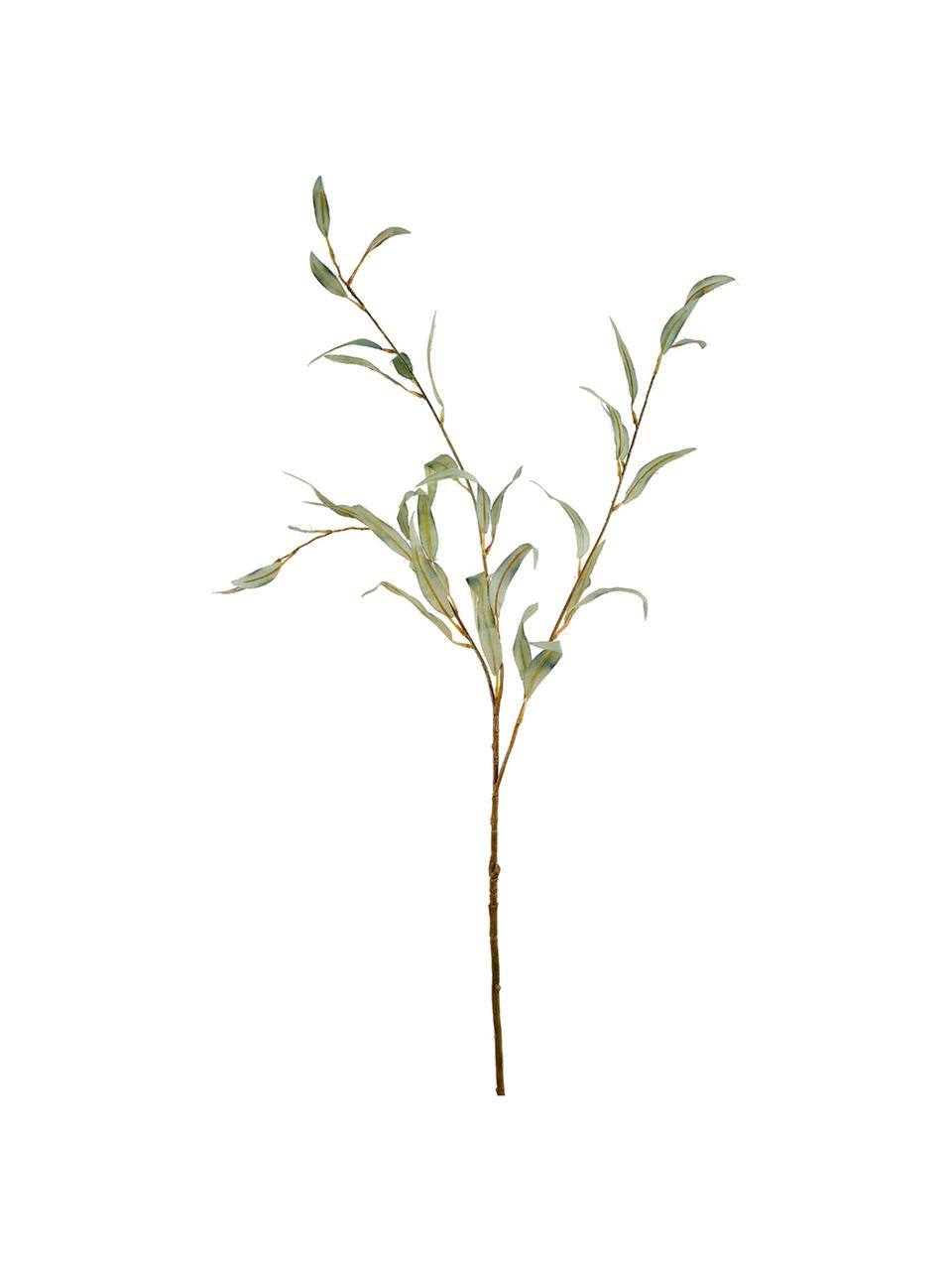 Dekoracyjna gałąź drzewa oliwnego, Tworzywo sztuczne, Zielony, D 96 cm