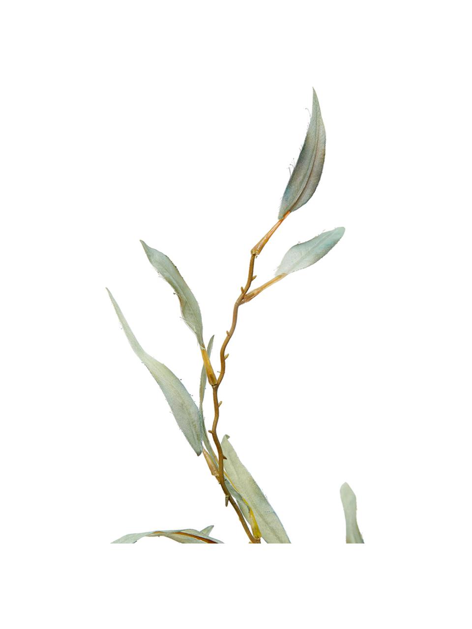 Kvetinová dekorácia Olivová vetvička, Zelená