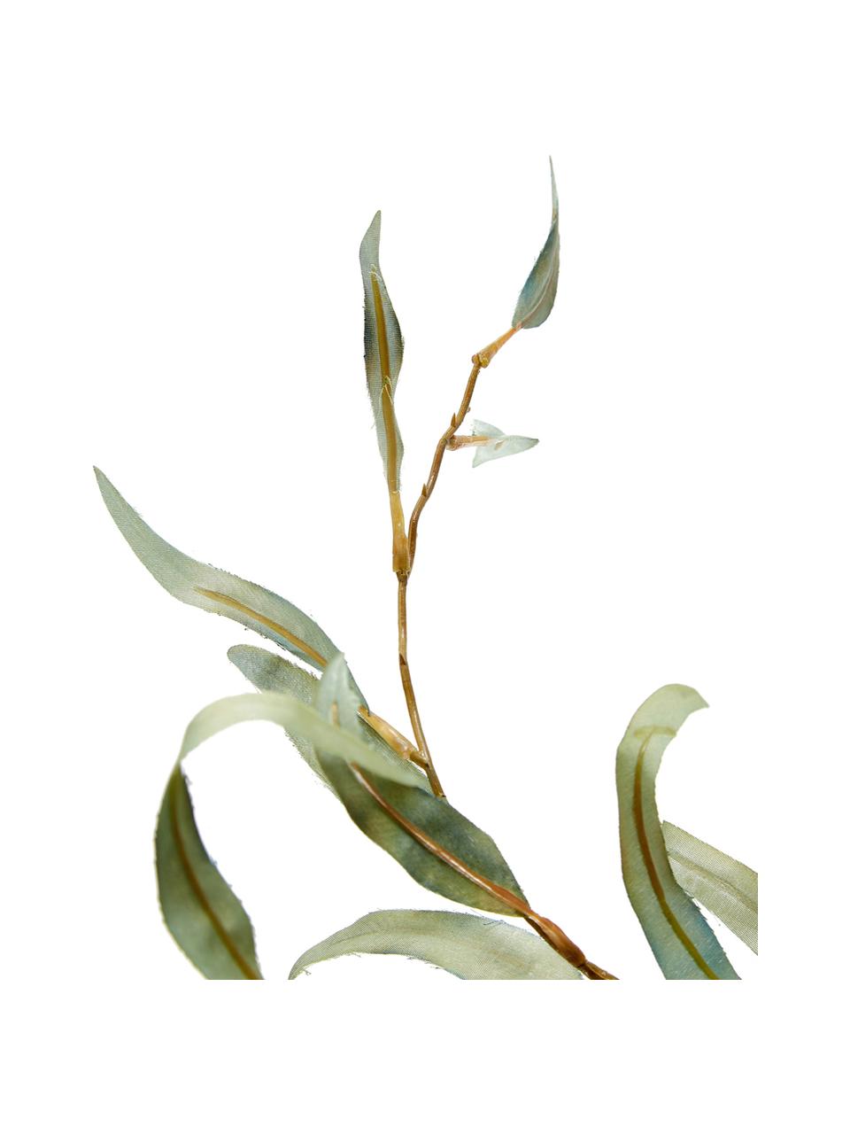 Fleur d’eucalyptus artificielle Pati, Vert