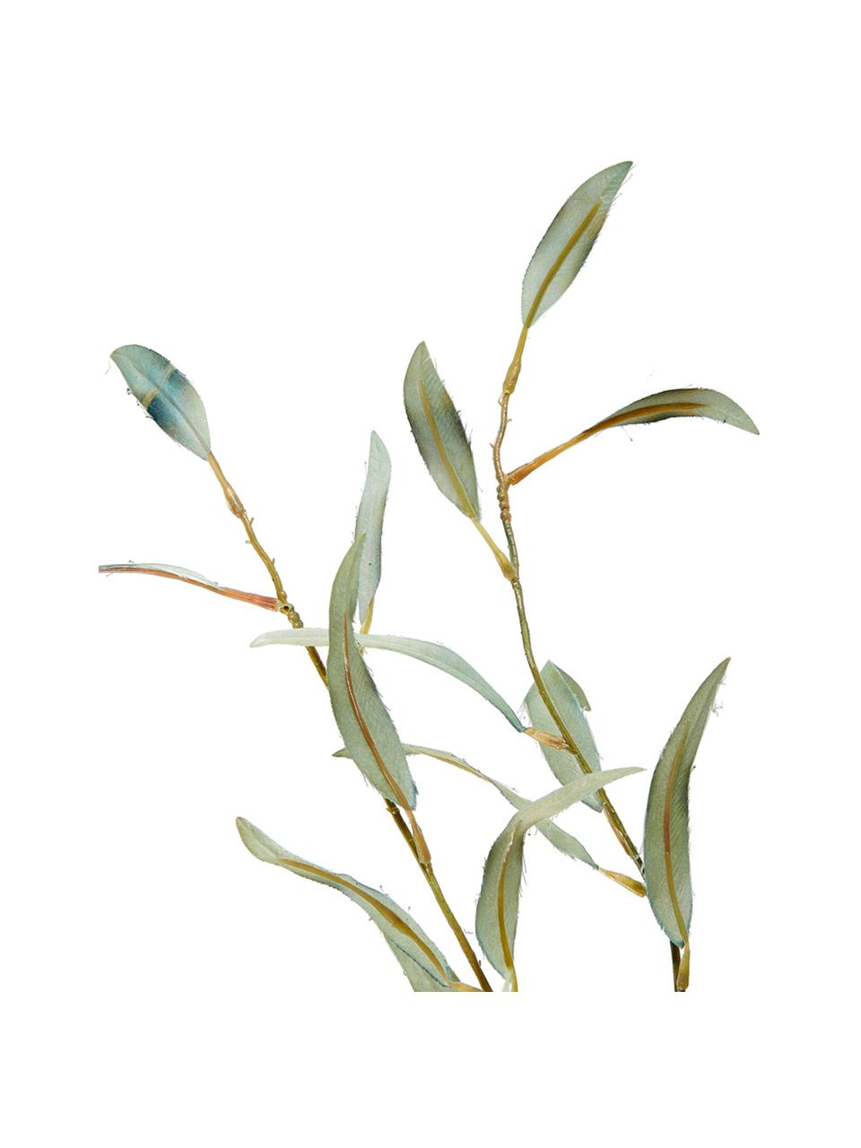 Fleur d’eucalyptus artificielle Pati, Vert