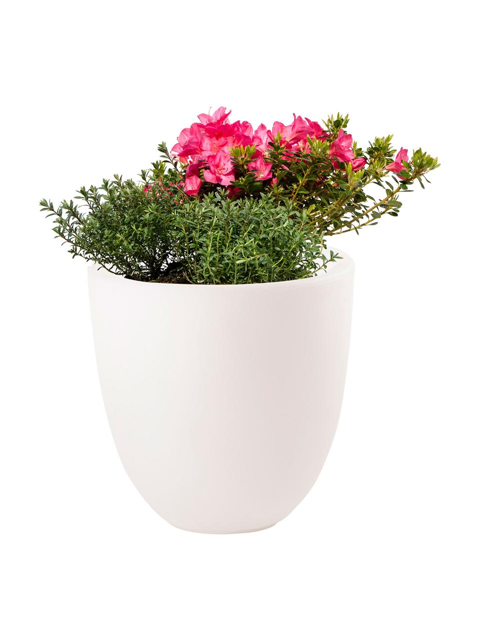 Bodenleuchte Shining Curvy Pot mit Stecker, Leuchte: Kunststoff, Weiß, Ø 39 x H 39 cm