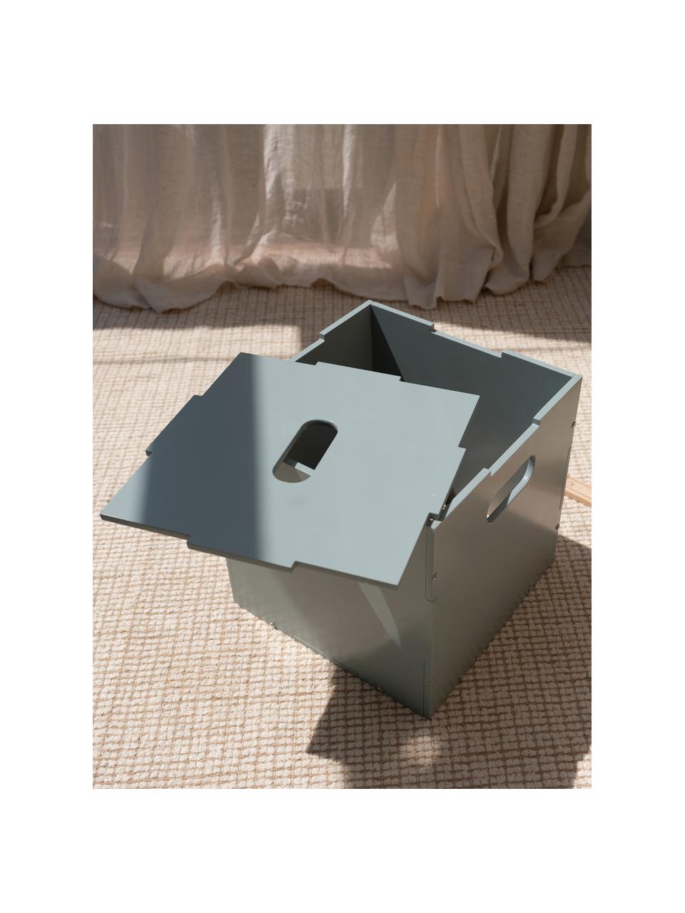 Holz-Aufbewahrungsbox Cube, Birkenholzfurnier, lackiert

Dieses Produkt wird aus nachhaltig gewonnenem, FSC®-zertifiziertem Holz gefertigt., Salbeigrün, B 36 x T 36 cm
