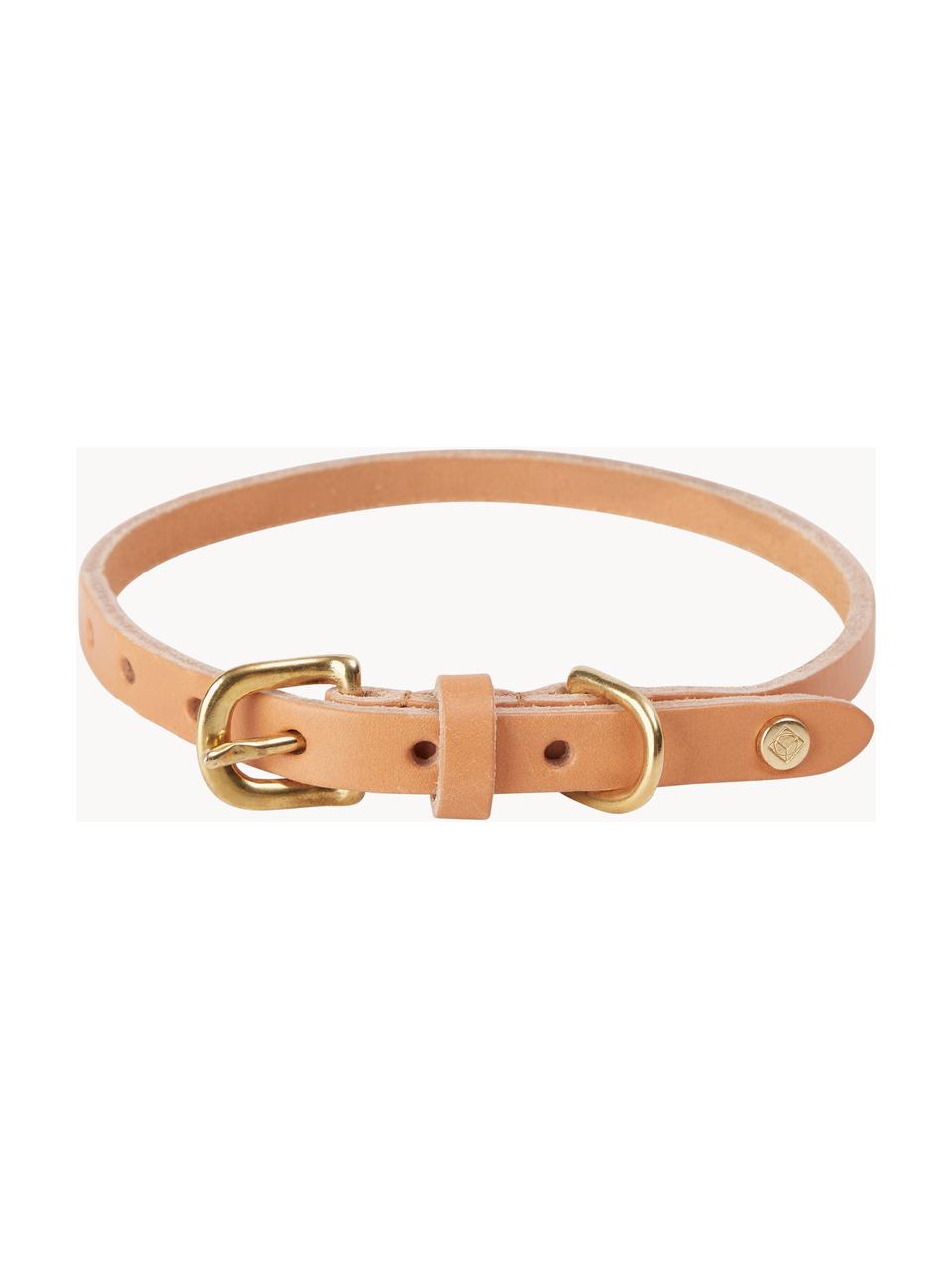 Haustier-Halsband Robin aus Leder, verschiedene Grössen, Verschluss: Messing, Peach, L 58 cm