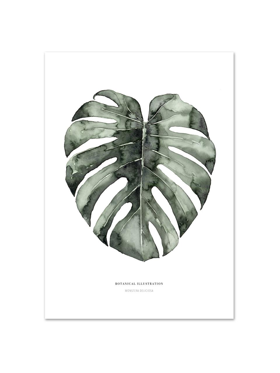 Plakat Urban Monstera, Druk cyfrowy na papierze, 200 g/m², Biały, zielony, S 21 x W 30 cm