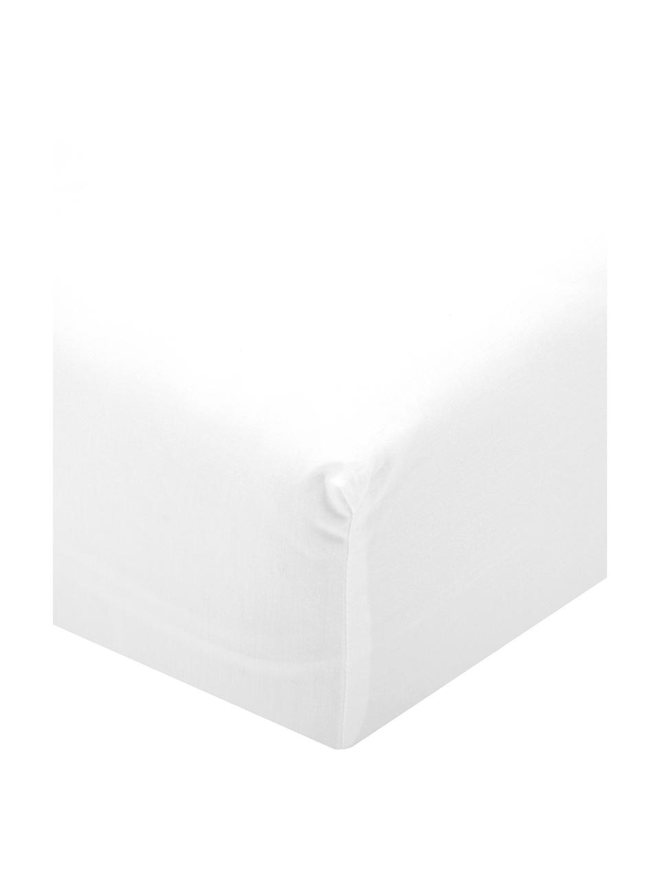 Drap-housse blanc en percale Elsie, Blanc, 160 x 200 cm