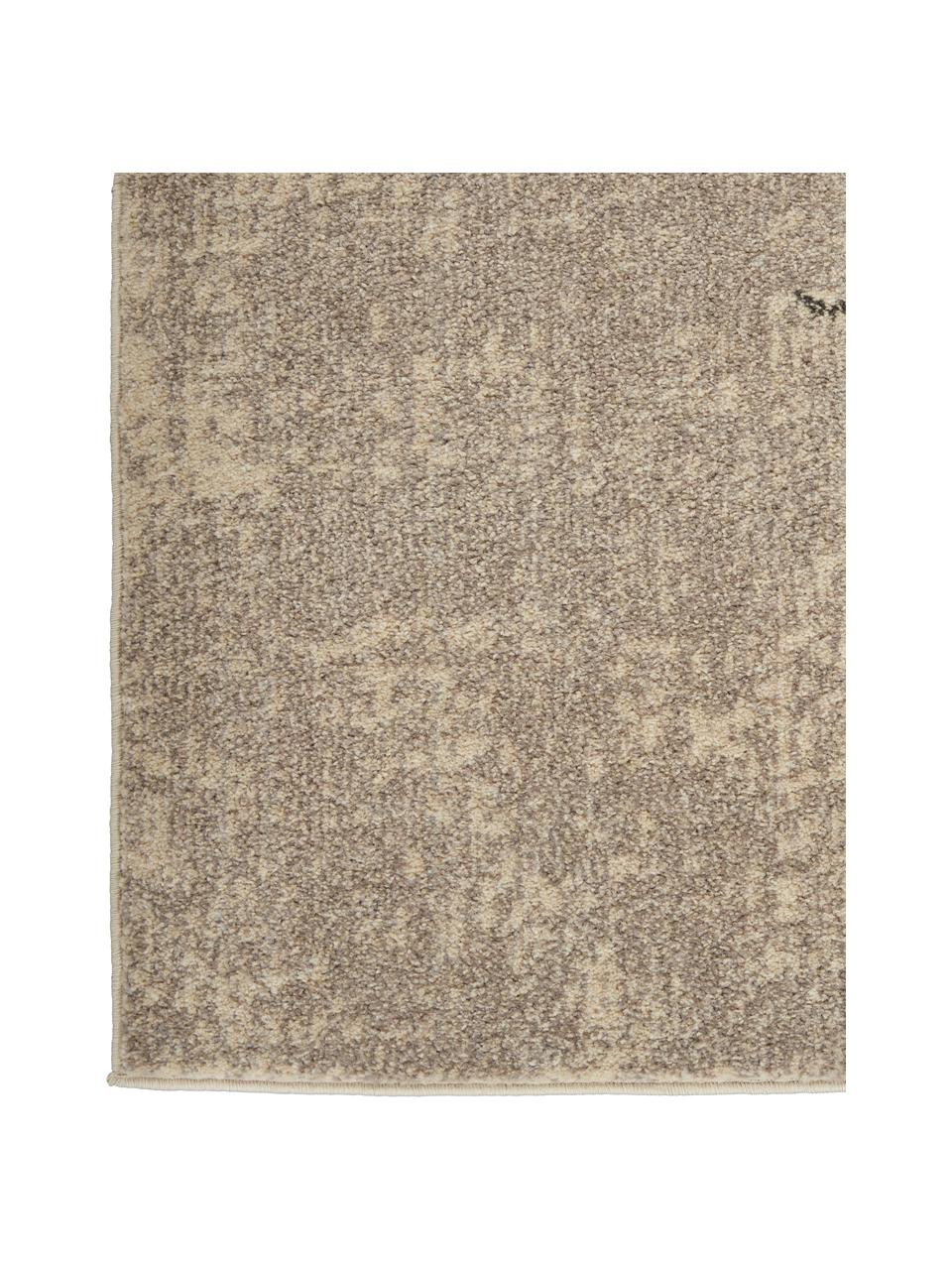 Designteppich Celestial in Beige, Flor: 100% Polypropylen, Beigetöne, B 275 x L 370 cm (Grösse XL)