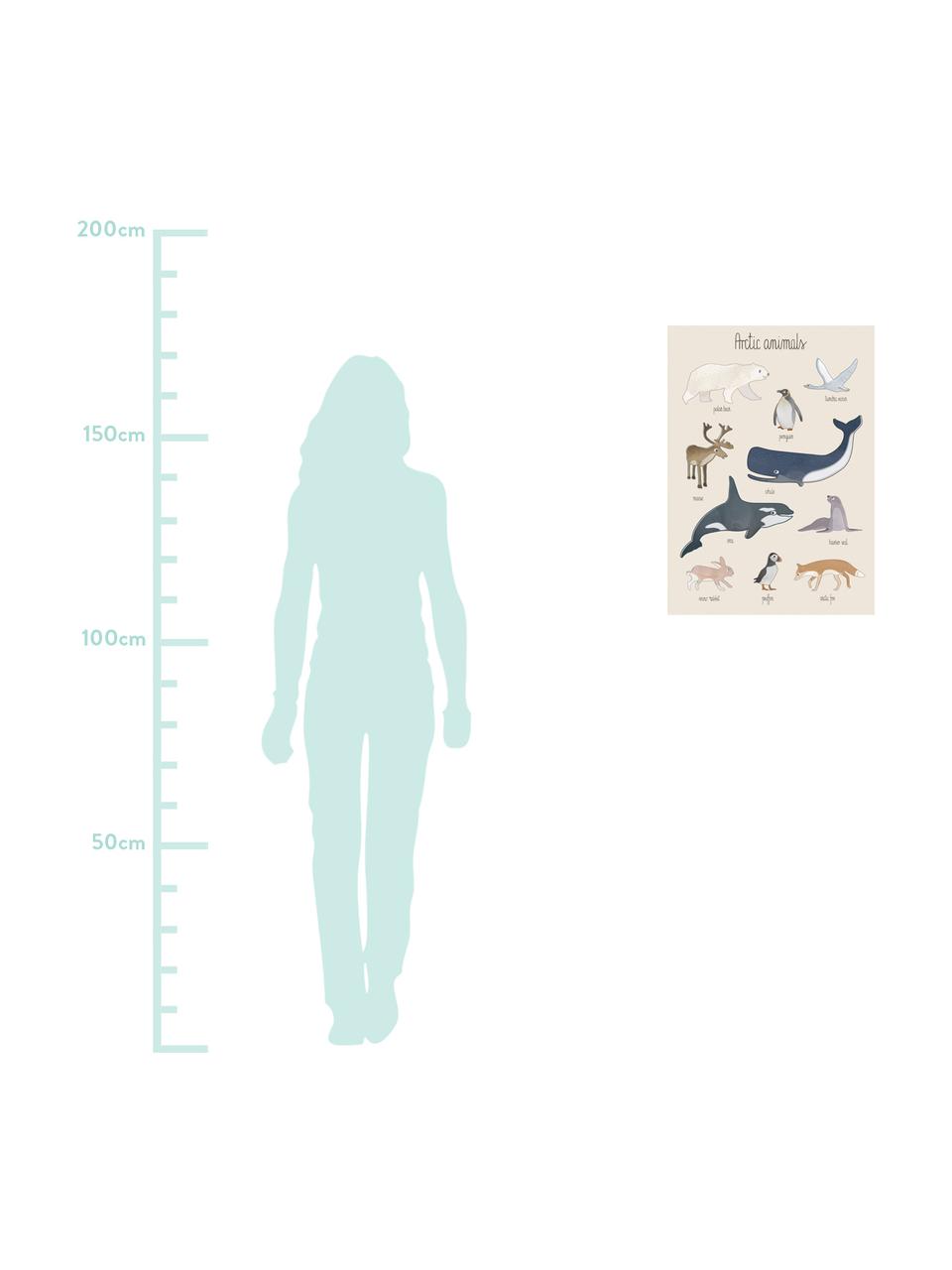 Plakat Arctic Animals, Papier artystyczny, 250 g / m², Wielobarwny, S 50 x W 70 cm