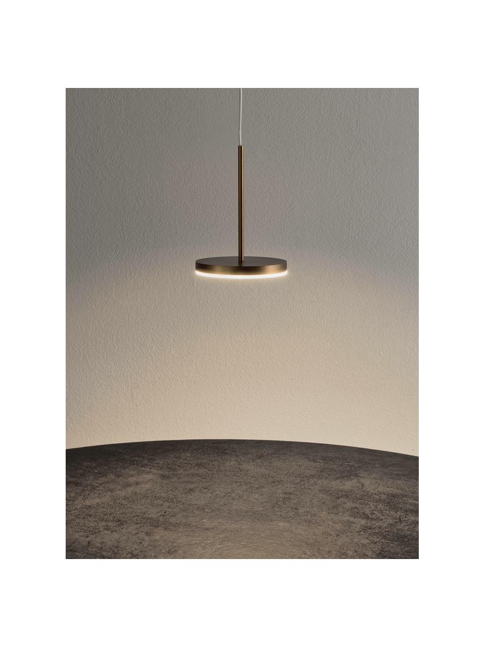 Petite suspension LED Bella, Doré, foncé, Ø 10 x haut. 14 cm