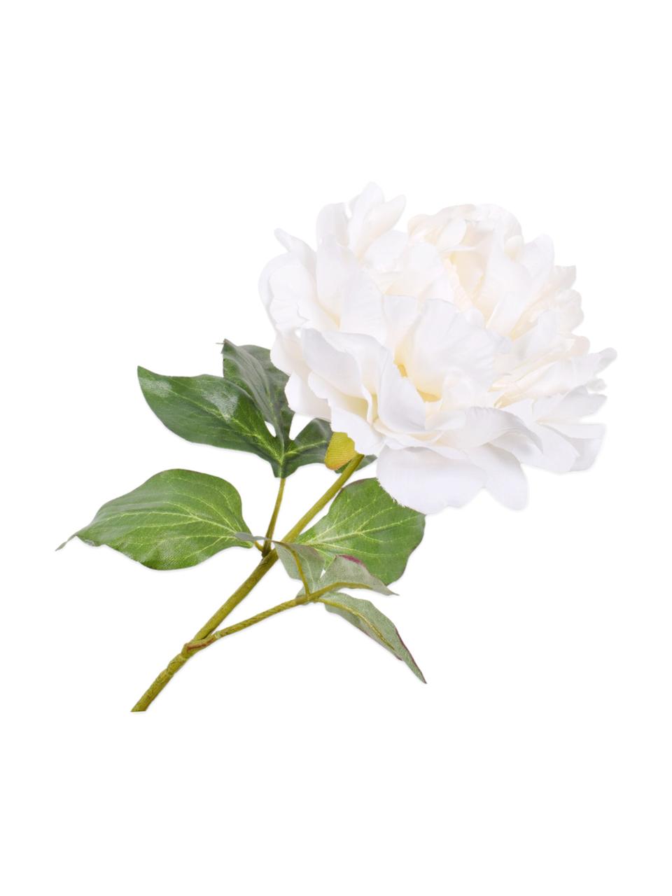 Flor artificial Pfingstrose, Plástico, alambre de metal, Blanco, L 57 cm