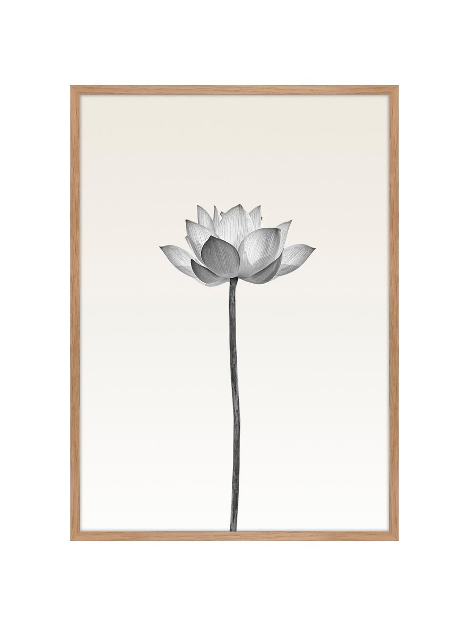 Gerahmter Digitaldruck Lotus, Bild: Digitaldruck auf Papier (, Rahmen: Hochdichte Holzfaserplatt, Schwarz, Weiss, Beige, 50 x 70 cm