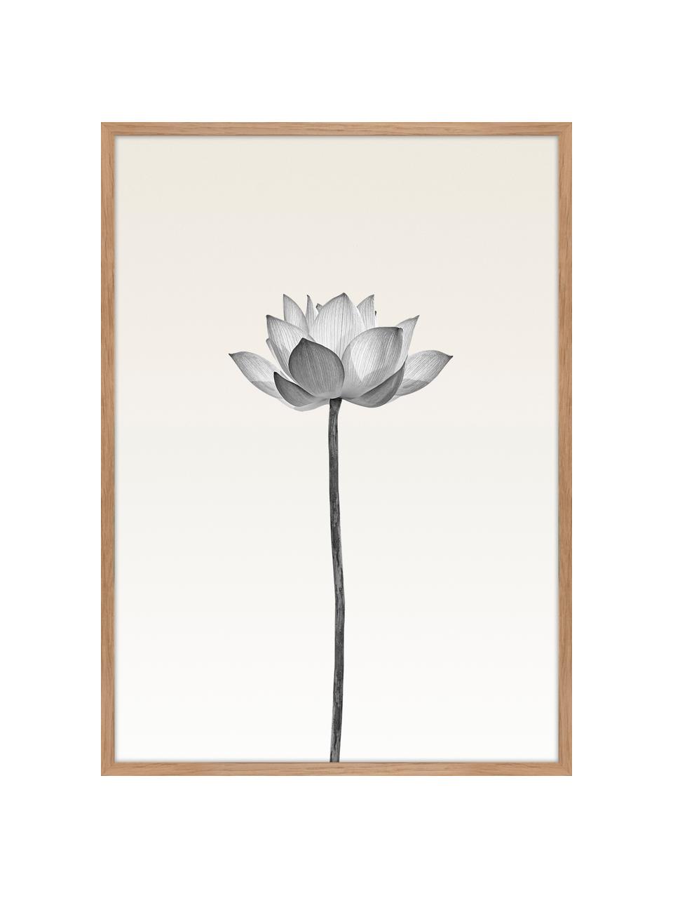 Ingelijste digitale print Lotus, Afbeelding: digitale druk op papier (, Lijst: HDF, Zwart, wit, beige, 50 x 70 cm