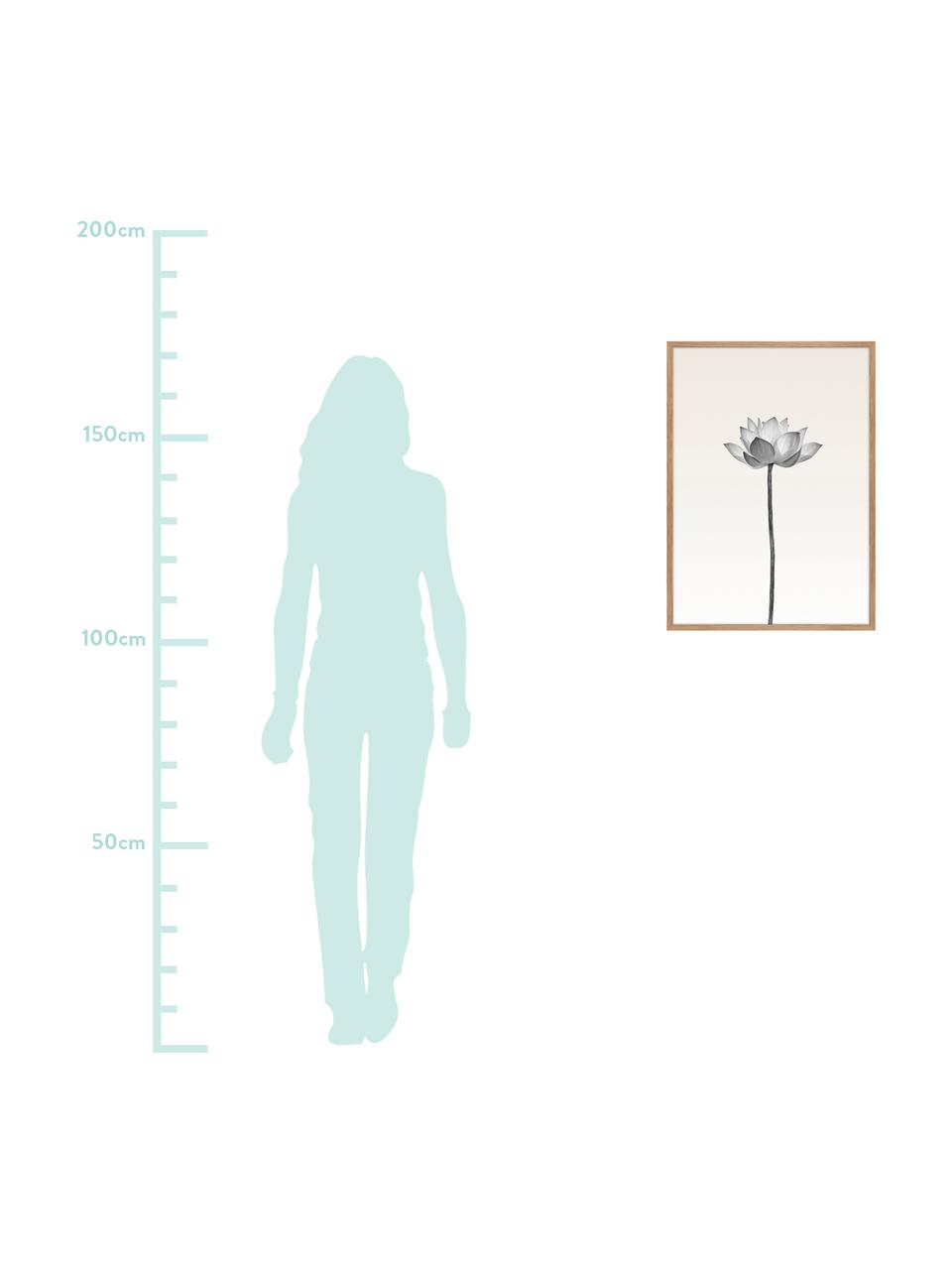 Gerahmter Digitaldruck Lotus, Bild: Digitaldruck auf Papier (, Rahmen: Hochdichte Holzfaserplatt, Schwarz, Weiss, Beige, 50 x 70 cm