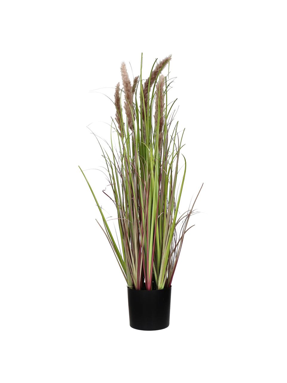 Planta artificial con macetero Rochel, Plástico, Verde, tonos marrones, negro, Ø 11 x Al 78 cm