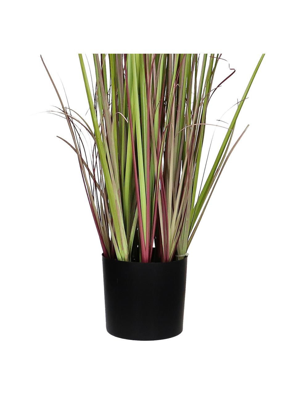 Planta artificial con macetero Rochel, Plástico, Verde, tonos marrones, negro, Ø 11 x Al 78 cm