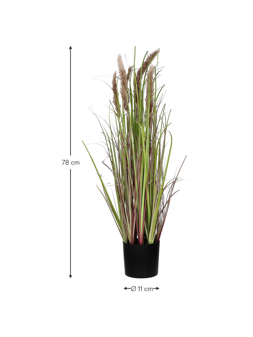 Herbe artificielle en cache-pot Rochel, Plastique, Vert, tons bruns, Ø 11 x haut. 78 cm