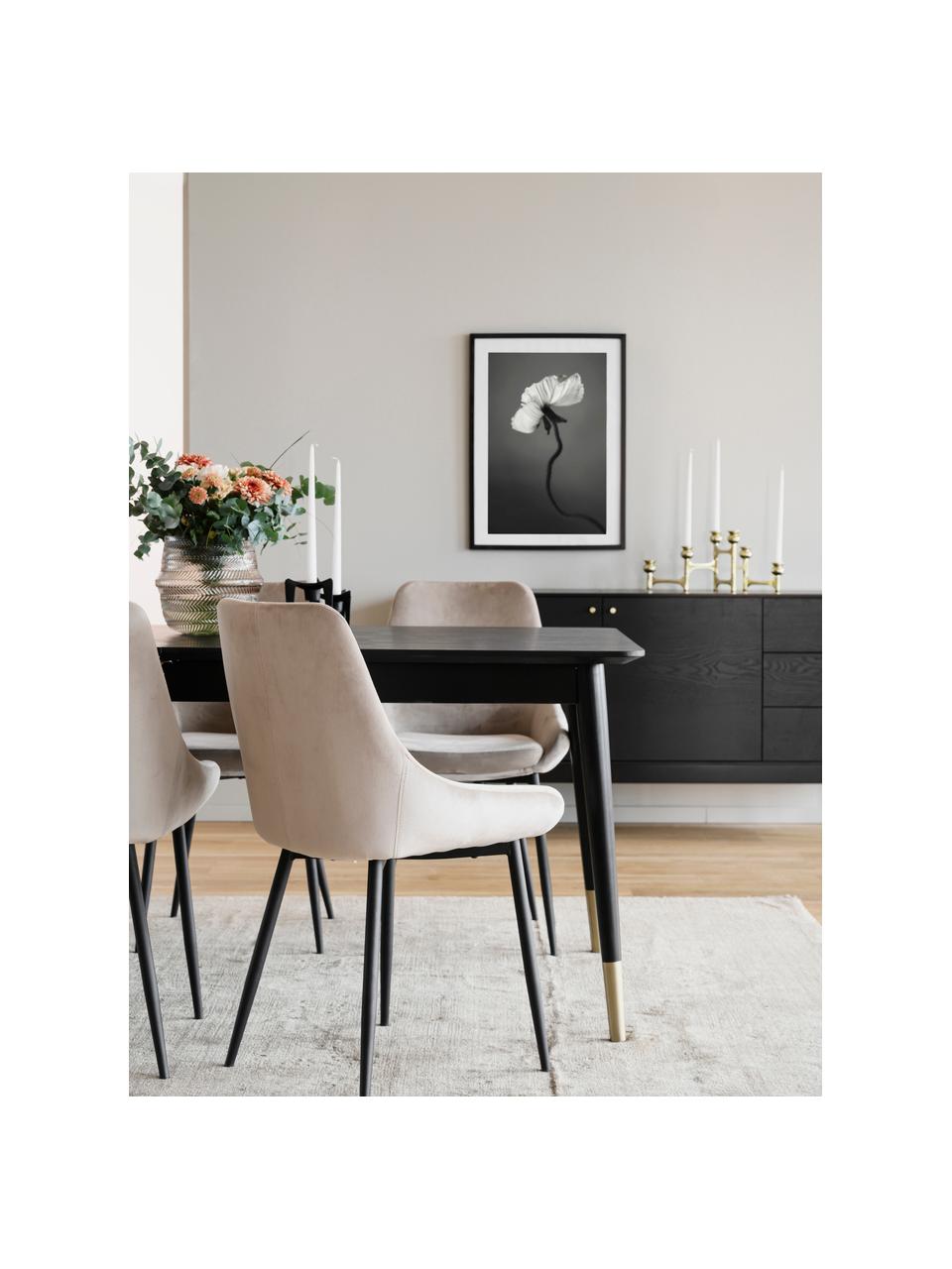 Ettafelset Fenwood met stoelen Sierra, 5-delig, Tafelblad: gebeitst en gelakt MDF (m, Poten: massief eiken, gedraaid, , Bekleding: 100% polyester fluweel Me, Poten: gelakt metaal, Fluweel beige, zwart, messingkleurig, Set met verschillende formaten