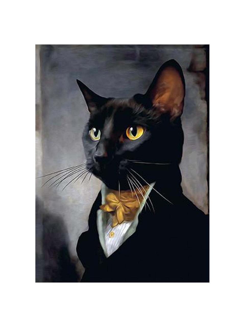 Kunstkaartenset Cat, 24-delig, Papier, Multicolour, L 16 x B 11 cm