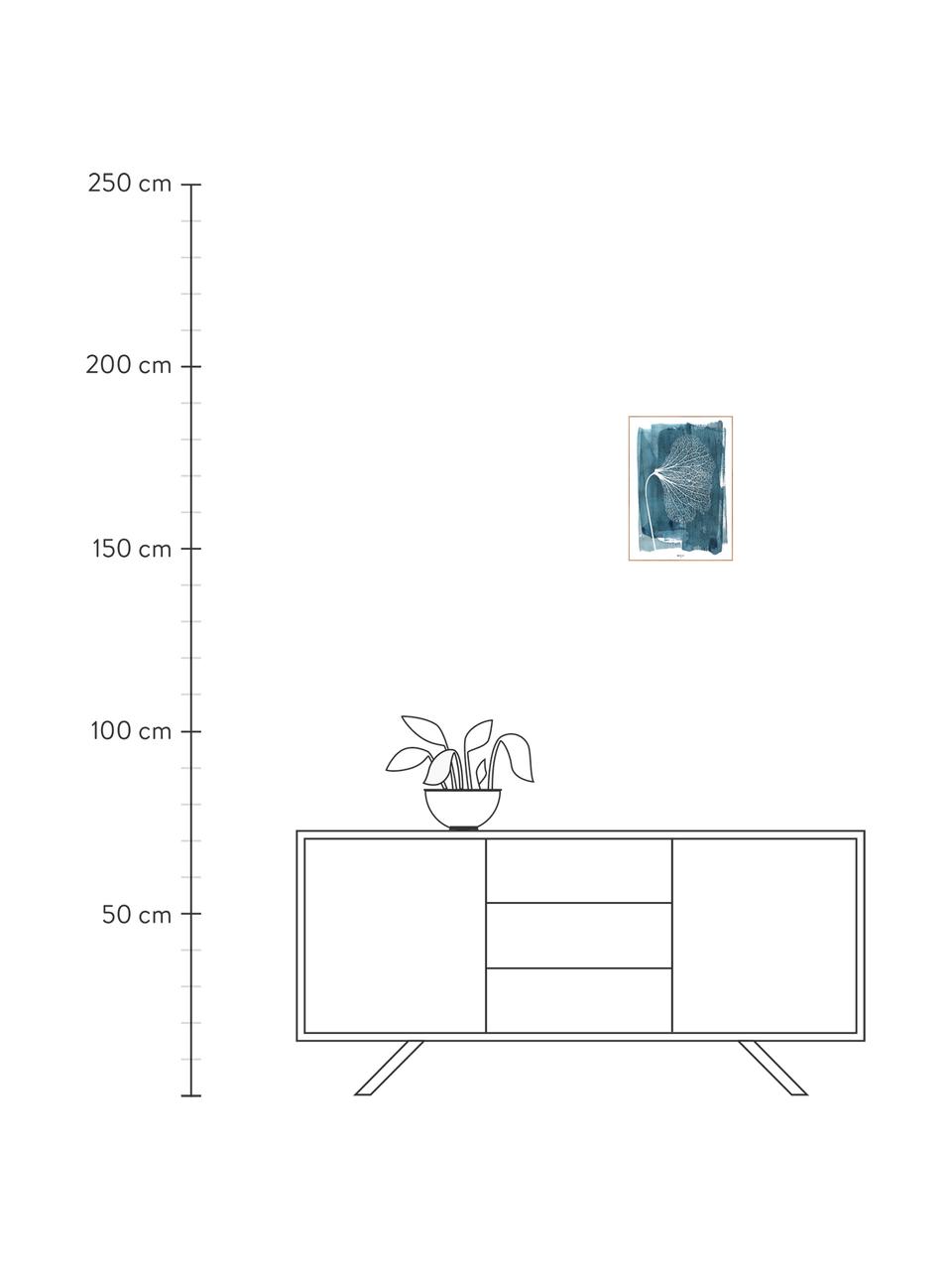 Ingelijste digitale print White Ginko, Afbeelding: digitale druk op papier (, Lijst: HDF, Blauw, wit, 50 x 70 cm