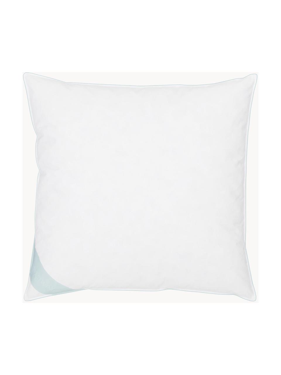 Almohada de plumas Comfort, media, Funda: 100% algodón, sarga de Ma, Blanco con ribete turquesa satinado, An 65 x L 65 cm