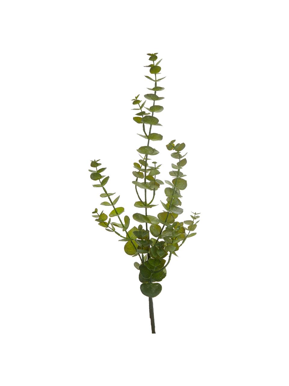 Fleur artificielle Eucalyptus, Plastique, Vert, larg. 20 x long. 81 cm