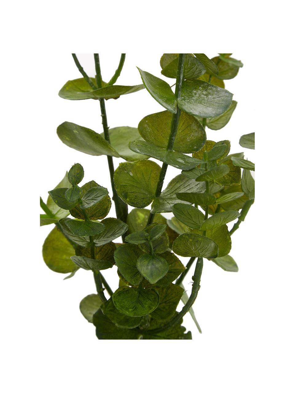 Květinová dekorace Eukalyptus, Umělá hmota, Zelená, Š 20 cm, D 81 cm